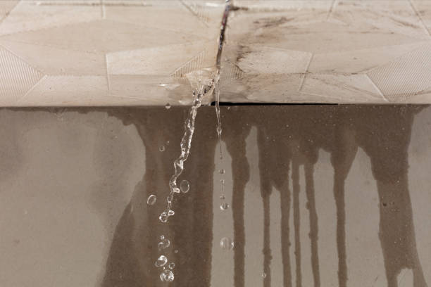 Professional Burst Pipe Cleanup technician working in Elrod, AL